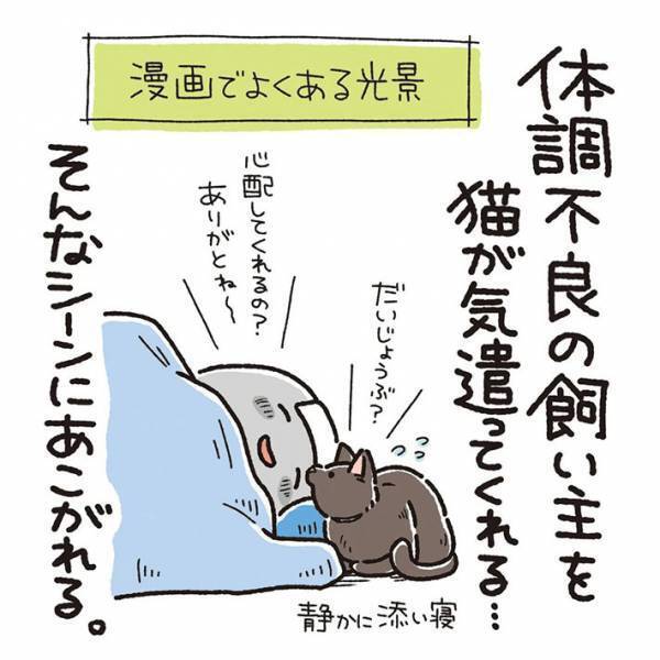 体調不良の飼い主　猫の行動に「あるある」の声相次ぐ