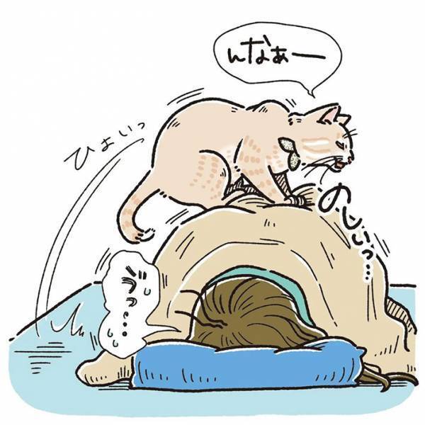 体調不良の飼い主　猫の行動に「あるある」の声相次ぐ