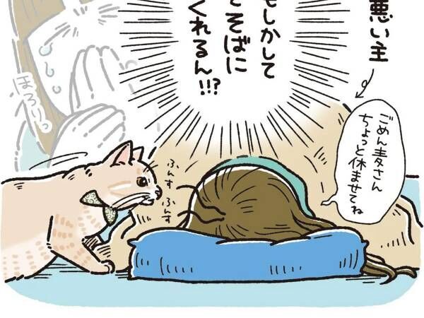 体調不良の飼い主 猫の行動に あるある の声相次ぐ 22年6月3日 ウーマンエキサイト 1 2