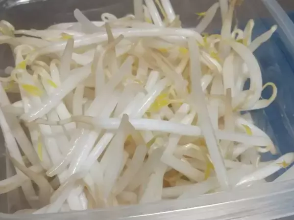 １週間以上も可能！　モヤシをシャキシャキのまま保存するには？