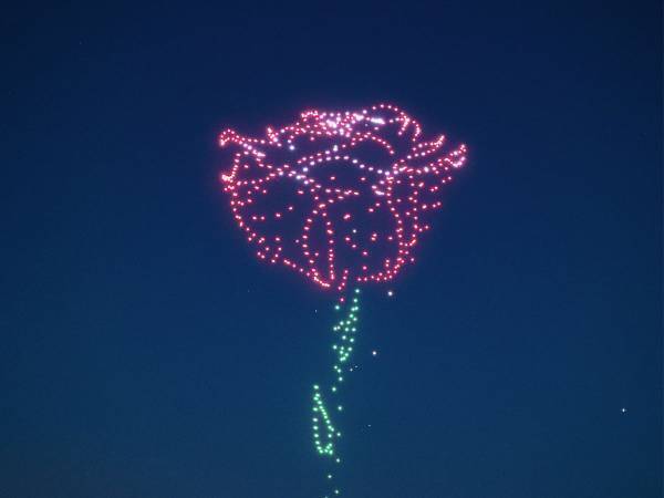 「すごくきれい！」「頑張ったなぁ」　横浜上空に現れた『光るバラ』に感動の声