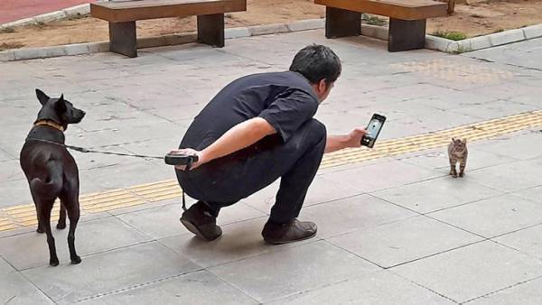 『やんのかポーズ』する猫を撮っていると…　後ろで待っていたのは？