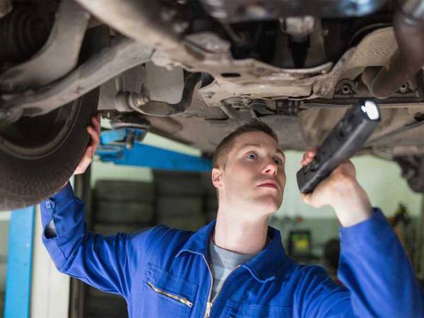 中古車の底から出てきたものにびっくり！　「初めて見た」「無事でよかった」
