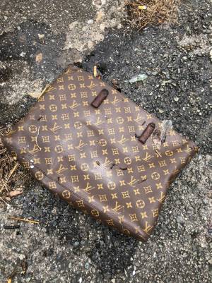 海で釣り上げたモノが…　「大物だし高級だなぁ」