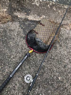 海で釣り上げたモノが…　「大物だし高級だなぁ」
