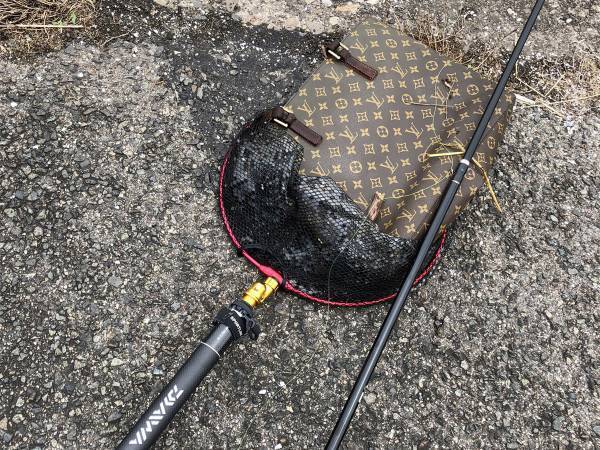 海で釣り上げたモノが…　「大物だし高級だなぁ」