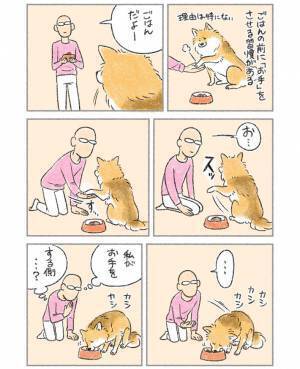 ご飯前に『お手』をさせていたら？　飼い主「する側…？」