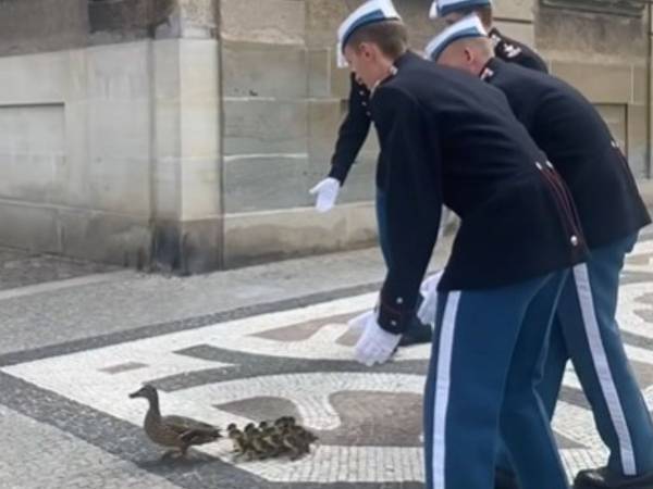 なんて紳士的！　デンマークの宮殿の衛兵が『護衛』しているのは…？