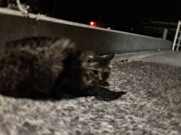 海で魚を釣り上げた後のオチに「吹いた」「勢いを感じる」