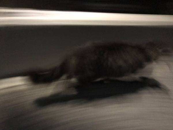 海で魚を釣り上げた後のオチに「吹いた」「勢いを感じる」