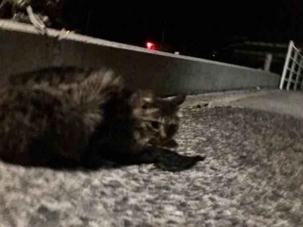 海で魚を釣り上げた後のオチに「吹いた」「勢いを感じる」