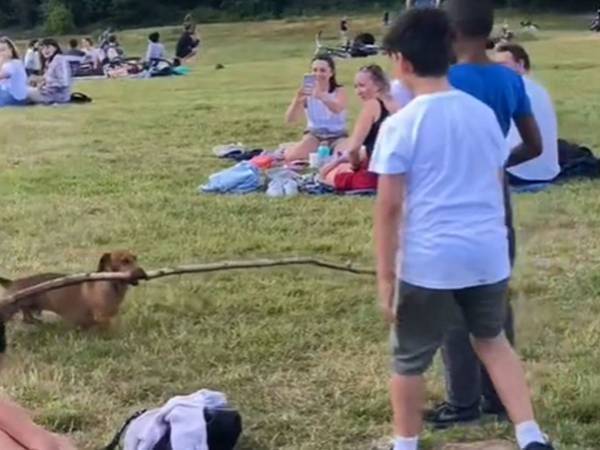 ピクニック中の人々から大注目！　「長さがバグっているよ」「子供との絡みが好き」