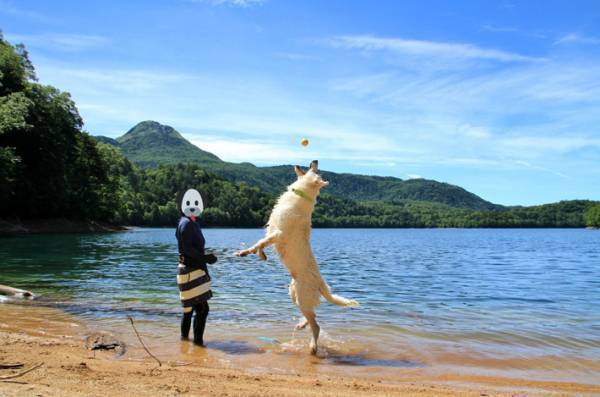 愛犬が大きいのではないかと疑う飼い主　その光景に「山神様かな？」