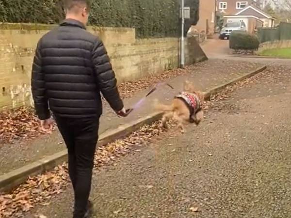 散歩している犬の動画に「ものすごくハッピーそう！」　多くの人を笑顔にした姿とは？