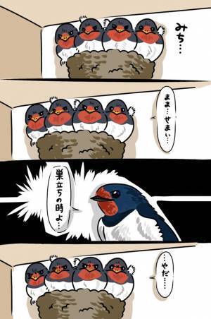 巣がミッチリ…！　親のツバメが巣立ちをうながすと、雛が本音の『ひと言』