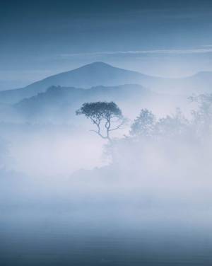 福島県で撮影された１枚　ファンタジーな世界観に「神様がいるようだ」