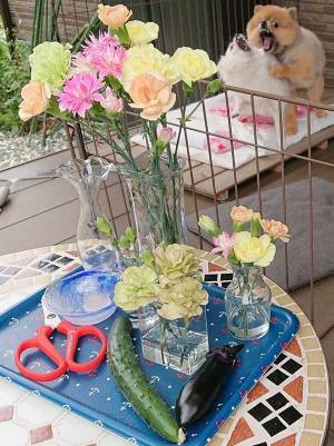 収穫した野菜を撮影したら…　写っていたものに、爆笑