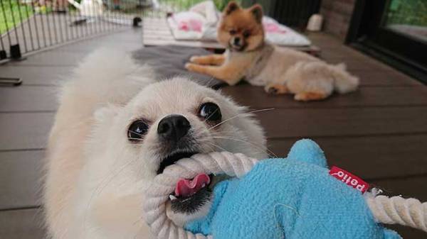 収穫した野菜を撮影したら…　写っていたものに、爆笑