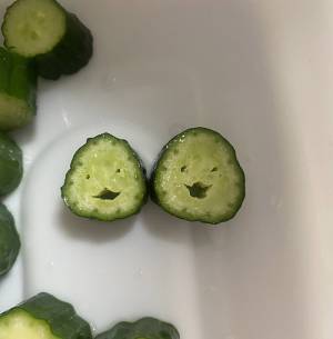 キュウリを切ってたら『キムチになるのを楽しみにしてるやつ』が！　写真に「吹いた」「最高の１枚」