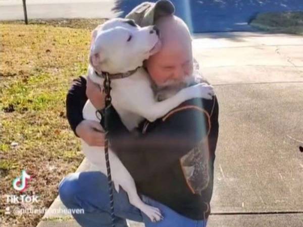 抱き合う男性と犬　感動の再会シーンかと思ったら？　「嬉し涙が出た」