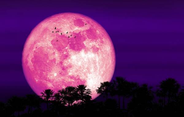 【今夜】２０２２年６月１４日は『ストロベリームーン』　ある『いい伝え』があって？