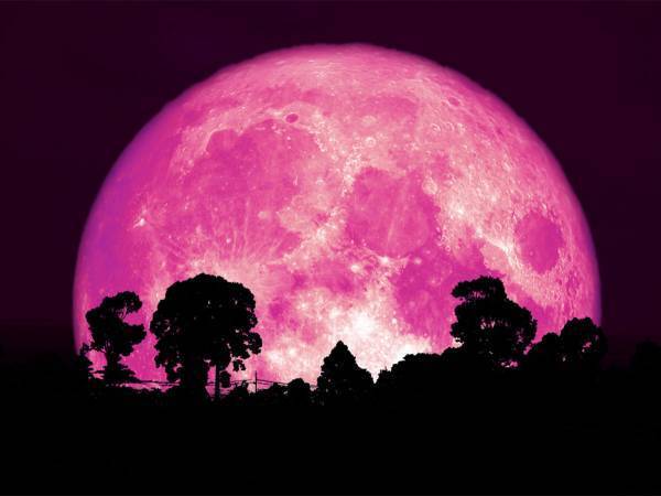 【今夜】２０２２年６月１４日は『ストロベリームーン』　ある『いい伝え』があって？