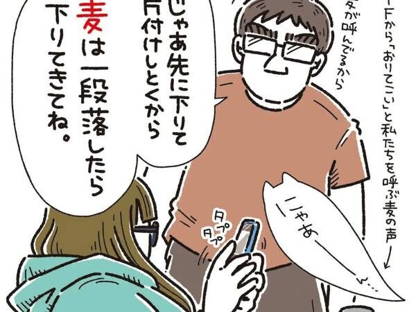 １階から愛猫の鳴き声　降りようとする夫の『ひと言』に、耳を疑う