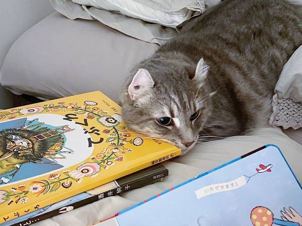 「猫と一緒に寝る！」といい出した４歳娘　それを聞いた猫が？