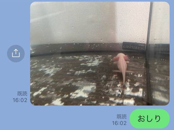 子供から送られてきたペット写真に母親は？　反応に「最高の母親じゃん」