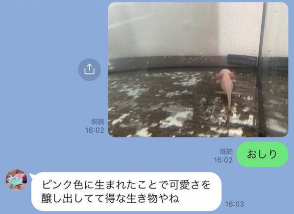 子供から送られてきたペット写真に母親は？　反応に「最高の母親じゃん」