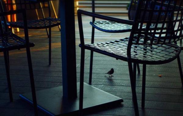 「元気でね」想いが心からあふれるとき、言葉のふくらみとなって現れる