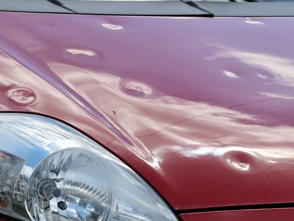 ひょうの農業被害３８億円、埼玉県　「車のボンネットへこんだ」「アザができた」の声も