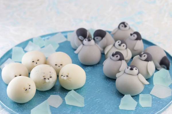 和菓子のイメージを変える『和菓子』　涼しげな雰囲気に魅了される人が続出