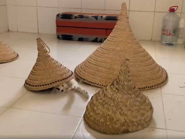 大きな…ヤドカリ？　中から出てきた『ニャドカリ』たちがかわいすぎた