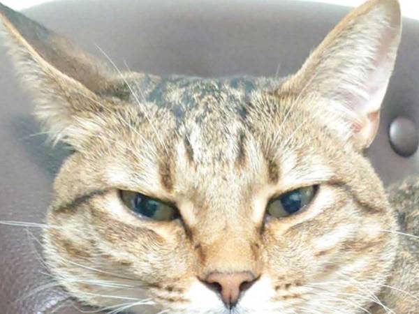 夫に呼ばれた時と、妻に呼ばれた時…　表情の違いに「切ない…」「忖度なし」