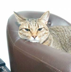 夫に呼ばれた時と、妻に呼ばれた時…　表情の違いに「切ない…」「忖度なし」