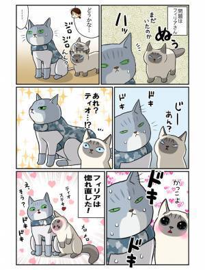 毛をカットしたら「おまえ誰！？」　威嚇される猫のため、服を着せると？