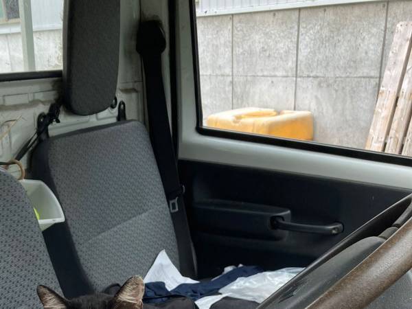 こんな『犯人』なら、むしろ大歓迎！？　車に勝手に忍び込んできたのは…