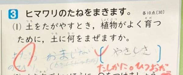 土を耕すために必要なものは？　娘の答えに「先生もナイスコメント」