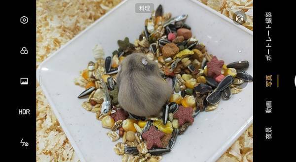 「よし、これは食べ物だな！」　スマホに『料理認定』された光景がこちら