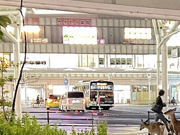 ２０時に奈良駅にいたのは？　「夜遊びでもしてたのかな」