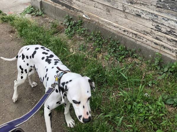 『自分と似てる子』が気になる馬　視線の先に「最高のツーショット」「生き別れの兄弟！？」