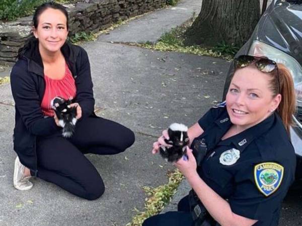 歩道で見つかった２匹の『赤ちゃん』　警察官が近付くのをためらったワケは？