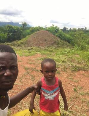 海外のスタッフに仕事の進捗を質問　返信内容に「じわじわくる」「笑った」