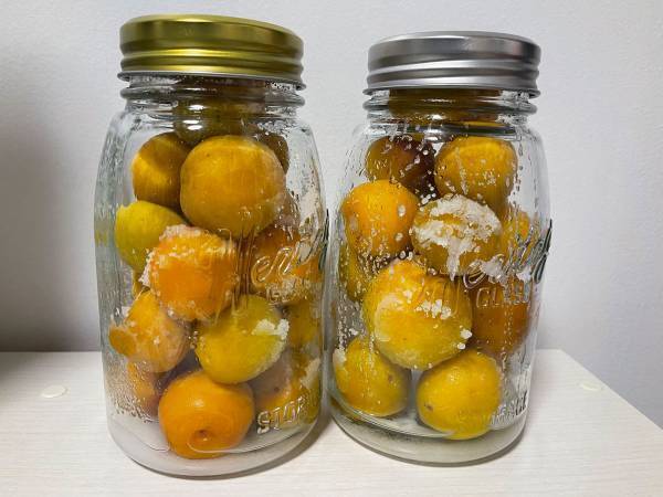 『赤穂の天塩』がすすめる、梅干し作りの『コツ』とは？　「これならお手軽」「知らなかった」