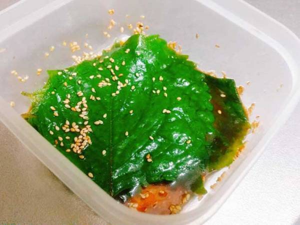 大量消費はこれで決まり！　大葉の醤油漬けが想像以上においしかった