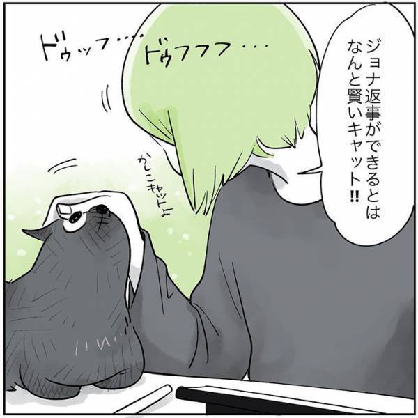 「賢いなぁ」　返事をした猫を褒めていた飼い主　すると、次の瞬間？