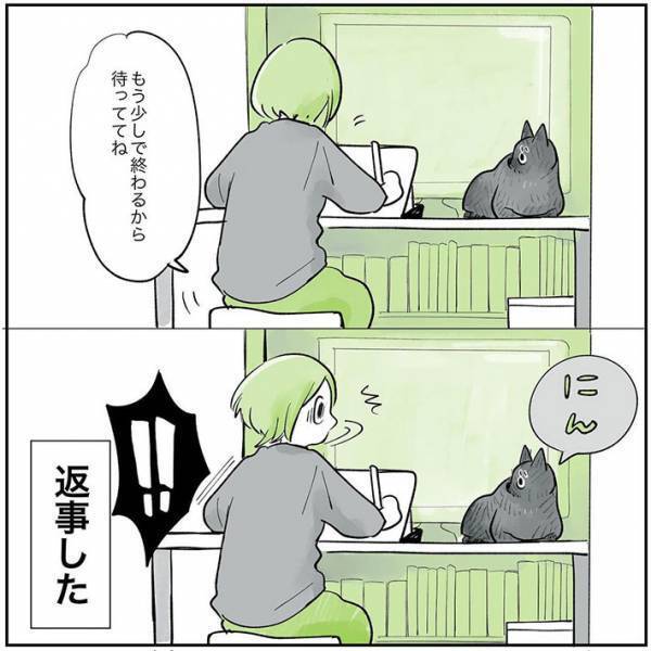 「賢いなぁ」　返事をした猫を褒めていた飼い主　すると、次の瞬間？