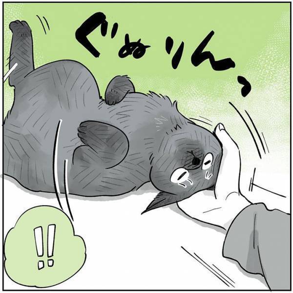 「賢いなぁ」　返事をした猫を褒めていた飼い主　すると、次の瞬間？