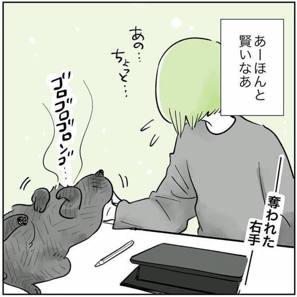 「賢いなぁ」　返事をした猫を褒めていた飼い主　すると、次の瞬間？